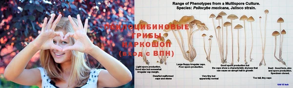 гидра Армянск