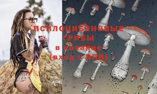 гидра Армянск