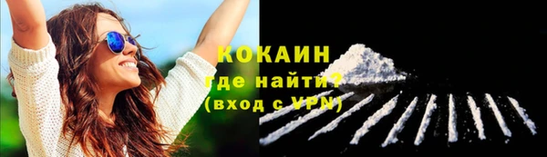 дурь Арсеньев