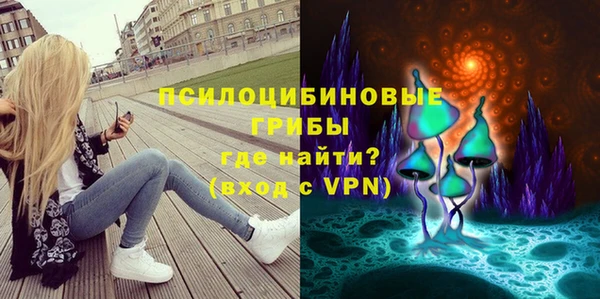 гидра Армянск