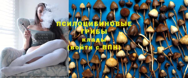 гидра Армянск
