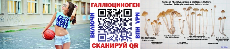 сайты даркнета официальный сайт  дарнет шоп  Советская Гавань  Псилоцибиновые грибы мицелий 